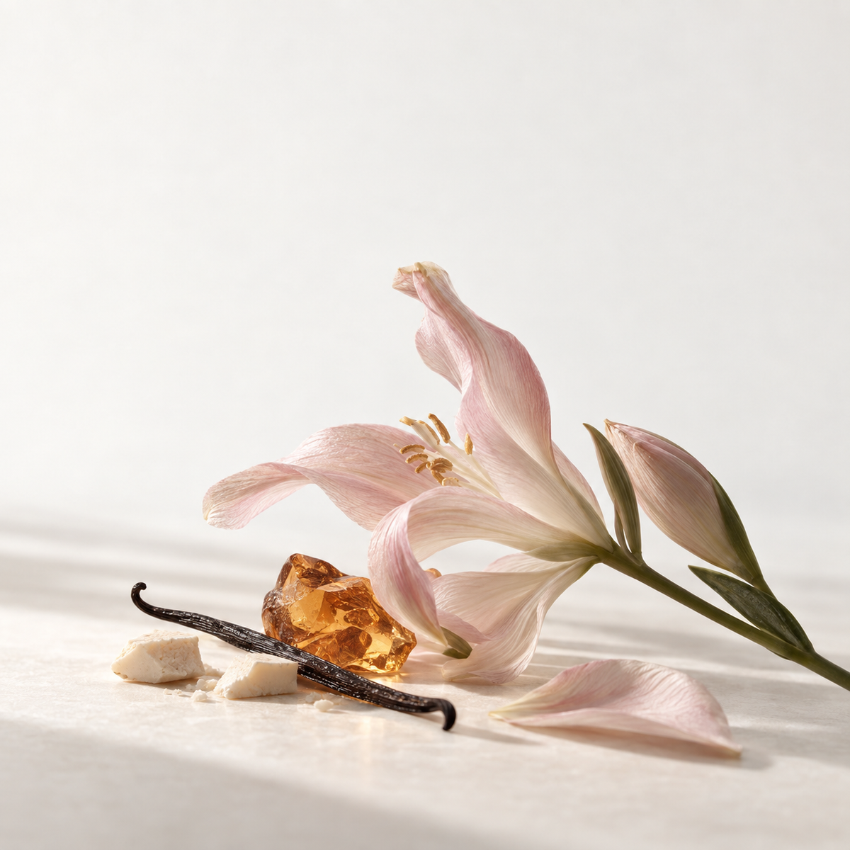 MADORIS Cashmere Amber fragrance notes with pale pink lily, vanilla bean, white chocolate and amber on a soft cream background