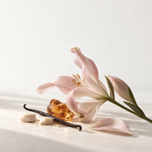 MADORIS Cashmere Amber fragrance notes with pale pink lily, vanilla bean, white chocolate and amber on a soft cream background