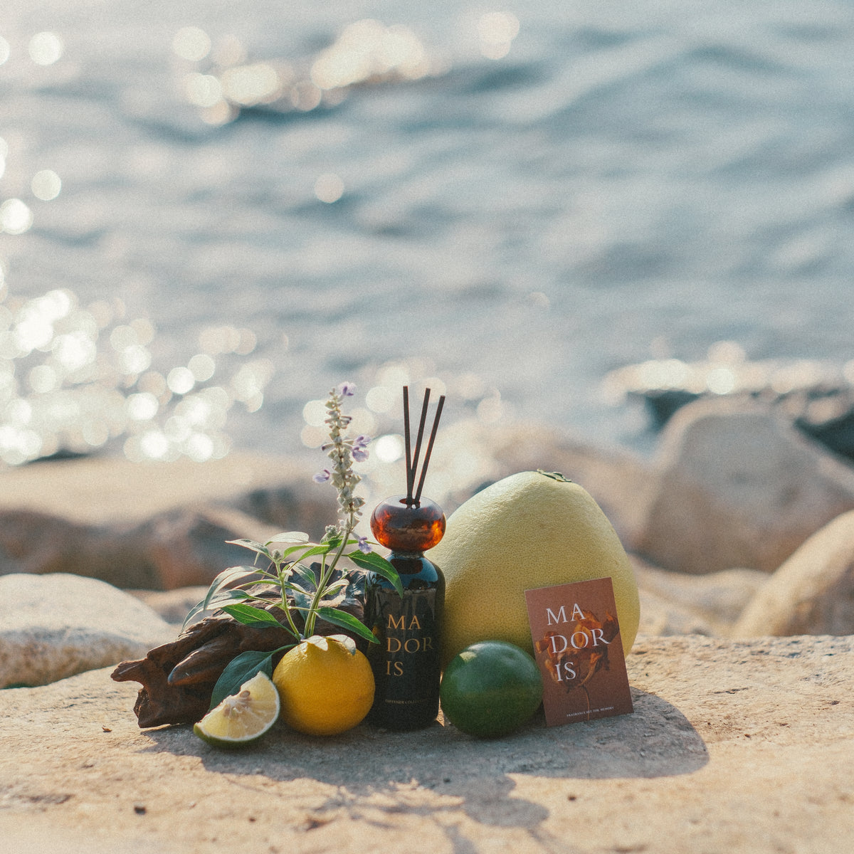 MADORIS Moonlight Glass reed diffuser styled with citrus fruits in a coastal setting